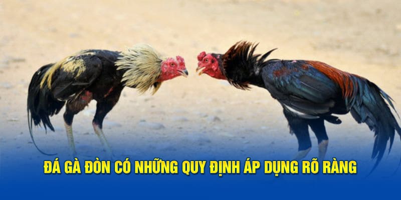 Quy định về đá gà đòn